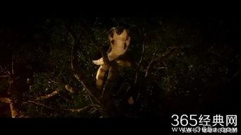 蛇姬恋手机在线观看,手机在线观看，浪漫奇幻之旅